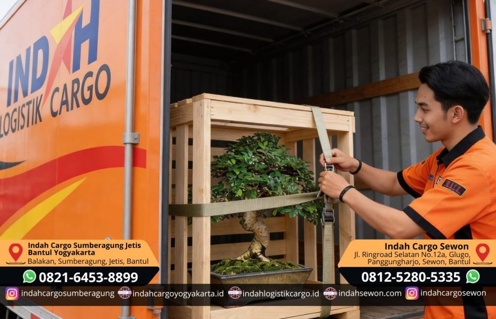 jasa kirim bonsai dan tumbuhan bantul yogyakarta