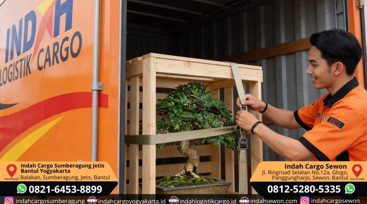 jasa kirim bonsai dan tumbuhan bantul yogyakarta