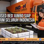Jasa Pengiriman Raised Bed Bantul Yogyakarta – Indah Cargo Sewon Siap Kirim Seluruh Indonesia