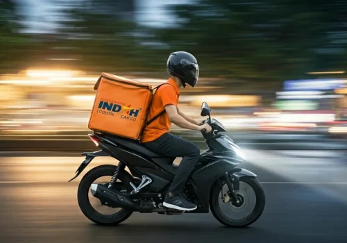 indag logistik cargo_city courier